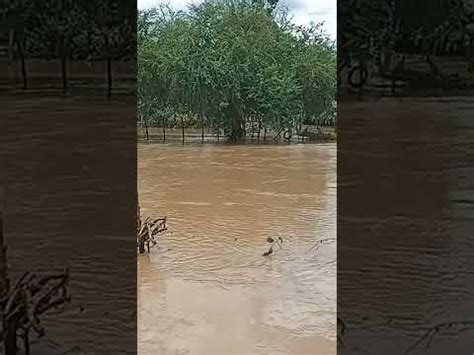 Repórter do Sertão de baixo da ponte do Rio Acaraú da cidade Tamboril