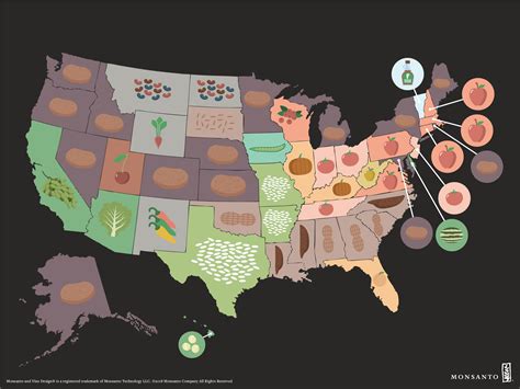 Crop Map Who Grows What In The U S Monsanto Texas Wheat