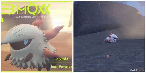 Larvesta Evolution Chart