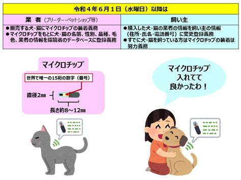 犬猫へのマイクロチップ装着の義務化についてお知らせ 佐賀県江北町