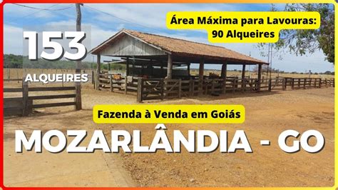 153 ALQ EM MOZARLÂNDIA FAZENDA À VENDA EM GOIÁS DUPLA APTIDÃO 62