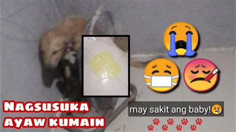 GAMOT SA ASONG NAGSUSUKA AT AYAW KUMAIN MON DEL ROSARIO YouTube