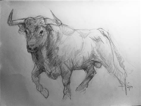 Dibujos De Toros Bravos Herb Voros Muy Fuertes Para Pintar Az Dibujos