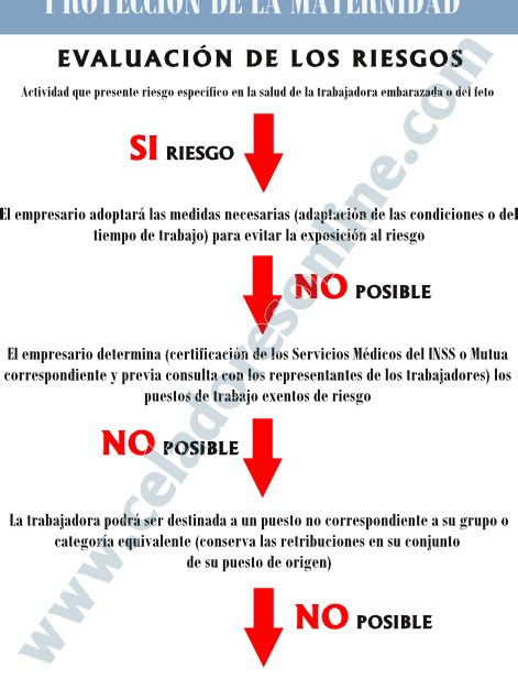 Conceptos Básicos De Los Test De Prevención De Riesgos Laborales Cheque Formacion