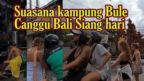 Memantau Kampung Bule Batubolong Canggu Bali Siang Hari Youtube