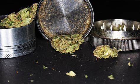 A Comprehensive Guide To Cannabis Grinders