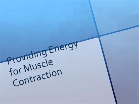 Ppt Providing Energy For Muscle Contraction Powerpoint Presentation