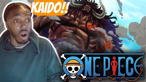 My First Itme Seeing Kaido One Piece Reaction 739 741 742