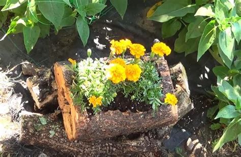 Cómo hacer una jardinera con un tronco de árbol y 10 ideas más Bricolaje