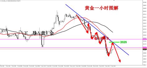 王导：黄金跌破震荡2010关键支撑，今日反弹转空！中金在线财经号