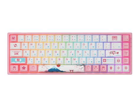 Buy Akko B Tokyo Rgb Mechanical Gaming Keyboard Pink Wired Tkl