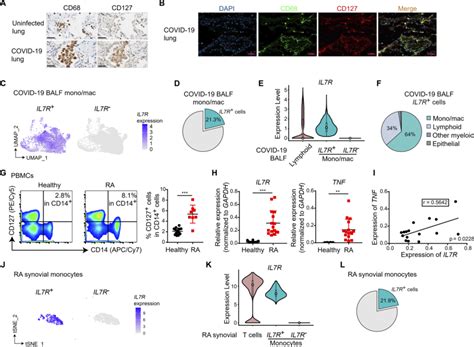 CD127high Monocytes Macrophages Are Hallmarks Of Human Inflammatory