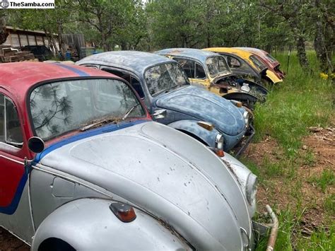 TheSamba VW Classifieds Baja Bugs Various Conditions