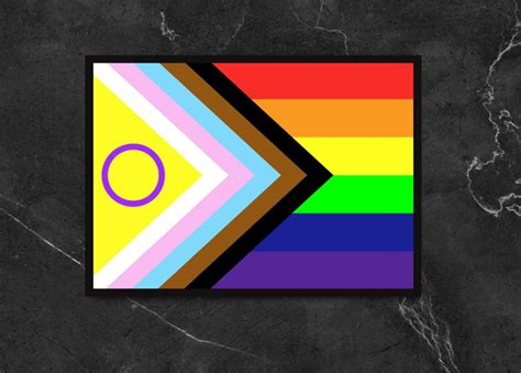 Quadro Nova Bandeira Progressista Do Orgulho Lgbtqia Elo7