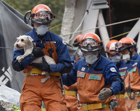 メキシコ地震、日本の救助隊が犬を救出 発生から5日ぶり 写真7枚 国際ニュース：afpbb News