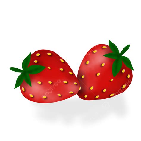 Fruit Illustration Fresh Fruit Illustration Strawberry Illustration