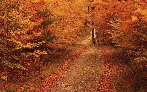 Fall Road Wallpaper - WallpaperSafari