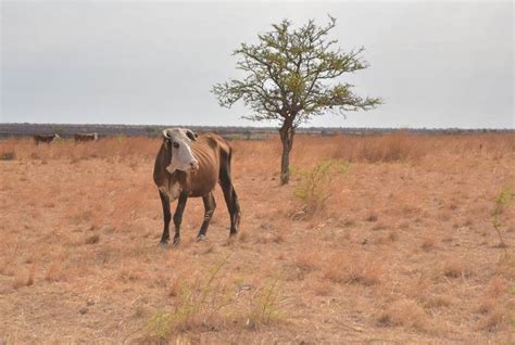 El Gobierno Anunció Medidas De Alivio Fiscal Para El Campo Para Mitigar Las Consecuencias De La