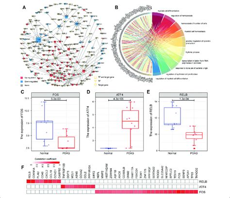 Construction Of Transcriptional Regulatory Network A The