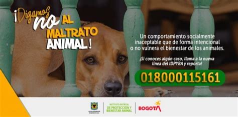 Bogotá Tiene Nueva Línea Exclusiva Para Reportar Maltrato Animal