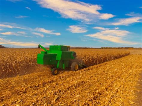 Um Agricultor Coleta Milho Uma Colheitadeira Em Um Campo Agr Cola