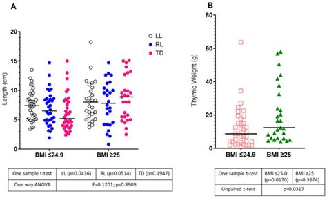 Lymphatics Free Full Text The Postmortem Evaluation Of Anatomical