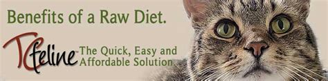 Benefits of a Homemade Raw Cat Food by The Total Cat Store