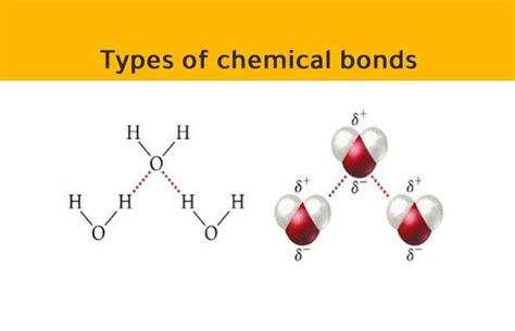 7 Types of chemical bonds: Definition - Differences – Examples in 2022 ...