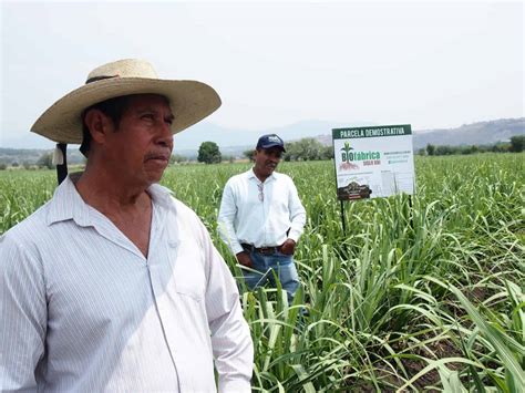 Municipio morelense innova programa de fertilización Biofábrica Siglo XXI