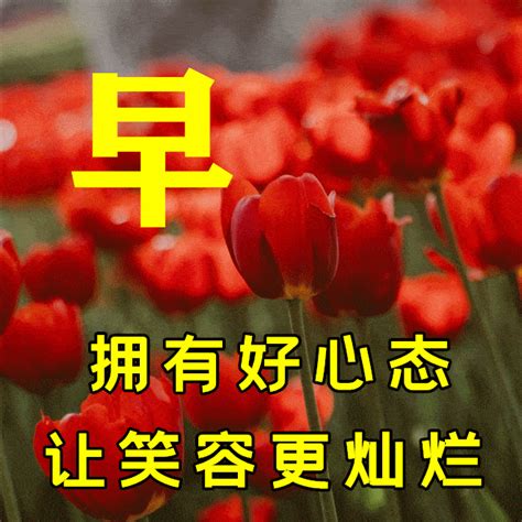 3月23日春天早上好问候朋友暖心句子，2023春天特别漂亮风景美图 好友 友情 时候