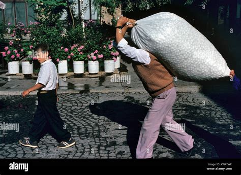 Turkish Silk Farmer Or Peasant Carrying Bag Of Silk Cocoons To The Silk