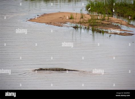 Kruger National Park, Mpumalanga, South Africa Stock Photo - Alamy