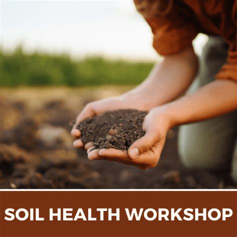 Soil Health Workshop For Vegetable Growers Fruition