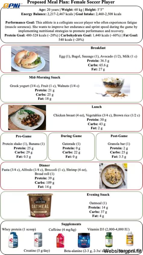 Sex Differences And Considerations For Female Specific Nutritional Strategies A Narrative