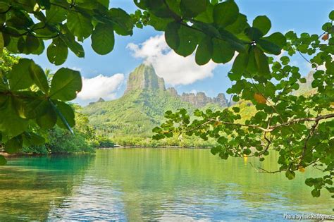 Monte Rotui En Moorea Profundidad De Campo Campo Tahit