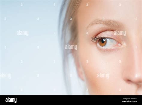 Eyes Half Face Closeup Of Beautiful Female Brown Eye Stock Photo Alamy