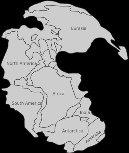 Pangea Continent Map