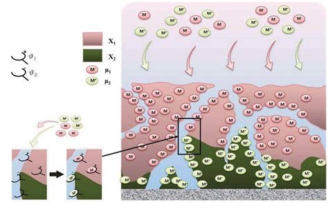 Schematic representation of biosorption process. | Download Scientific ...