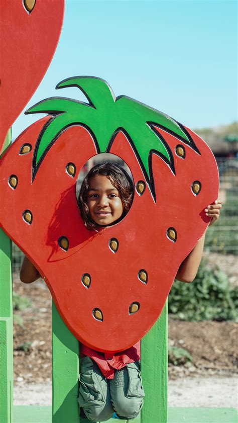 Strawberry Farm Photos, Download The BEST Free Strawberry Farm Stock Photos & HD Images