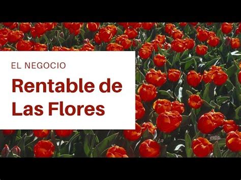 El Negocio Rentable De Las Flores YouTube