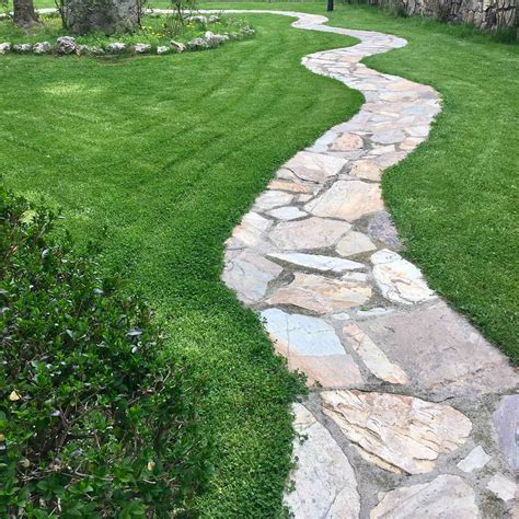 Eden Brothers Clover Seeds - Micro Clover Jura - Walmart.com