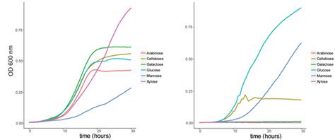 Growth Curves Of A C Fimi And B Y Lipolytica In Basal Salt Medium