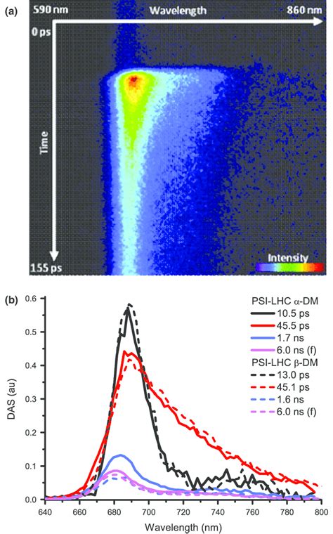 Time Resolved Fluorescence Analysis Of The Photosystem I Supercomplex Download Scientific