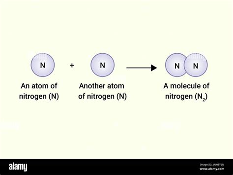 Nitrogen Stock Vector Images Alamy
