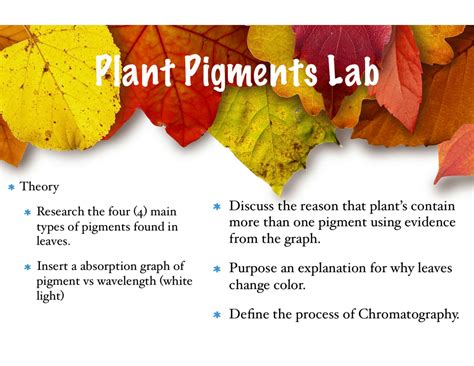 Plant Pigments - Mrs. Falabella's Classroom