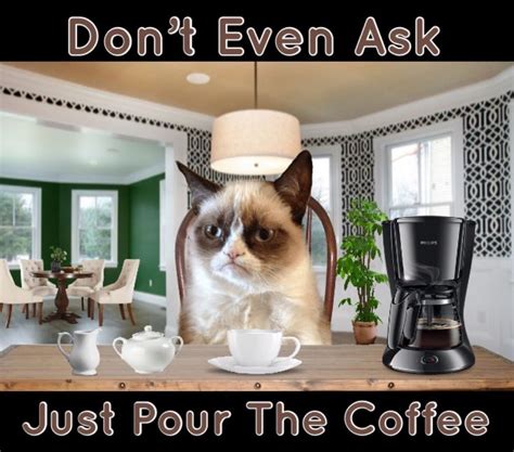 Grumpy Cat Says Dont Even Ask Just Pour The Coffee ☕️ Grumpy Cat Humor Grumpy Cat Grumpy