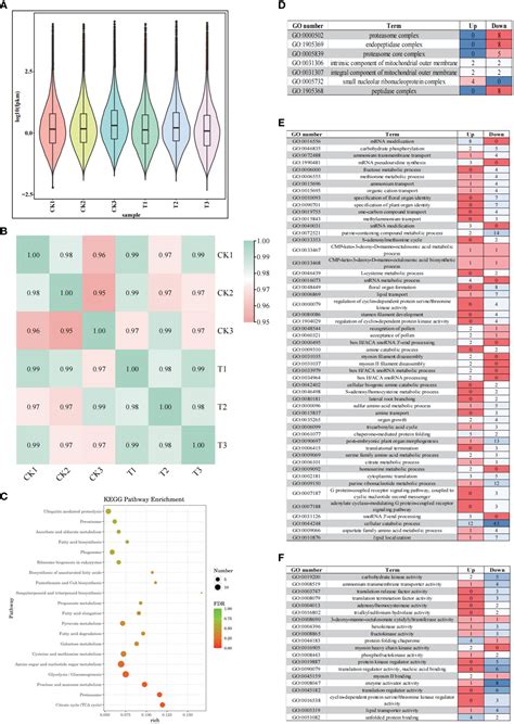 Frontiers Transcriptome Analysis Provides Insight Into The Regulatory