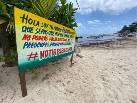 La Jornada Maya Quintana Roo La Jornada Maya Playa El Recodo No