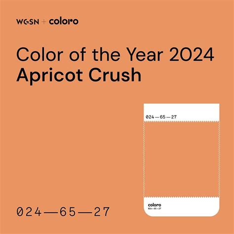 Coloro X Wgsn Apricot Crush