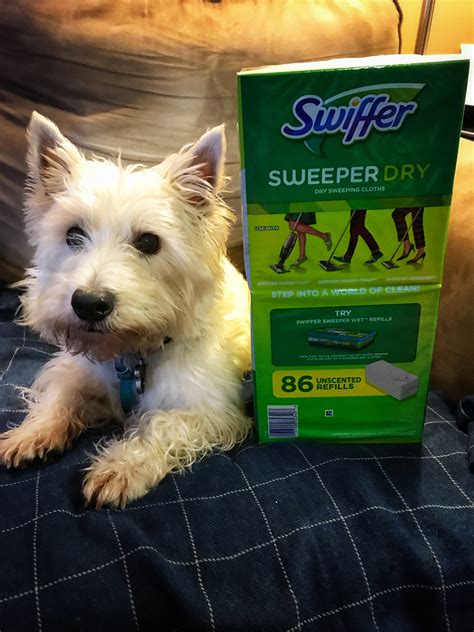 Swiffer Sweeper Dry Pads Make Puppy Cleanup Easy! #SwifferatSams ...